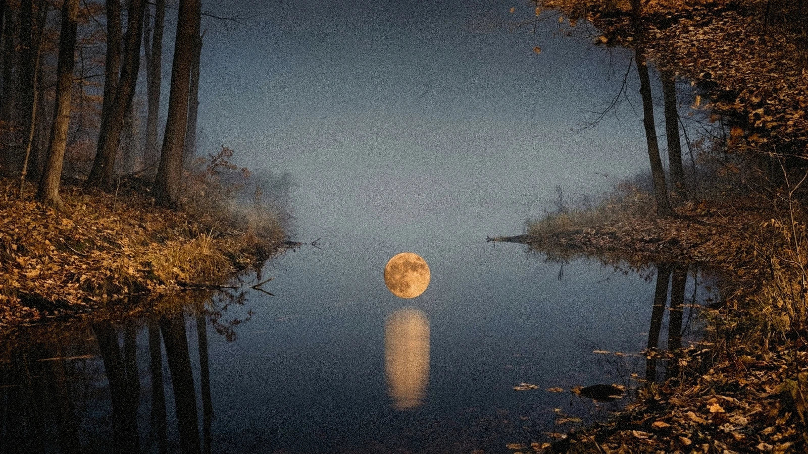 Pleine lune novembre 2027 en Taureau : Lune du Castor (14 novembre)