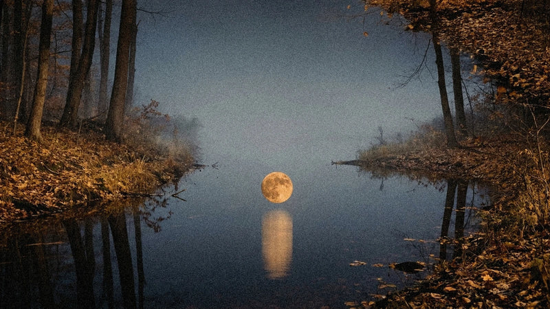 Pleine lune novembre 2027 en Taureau : Lune du Castor (14 novembre)