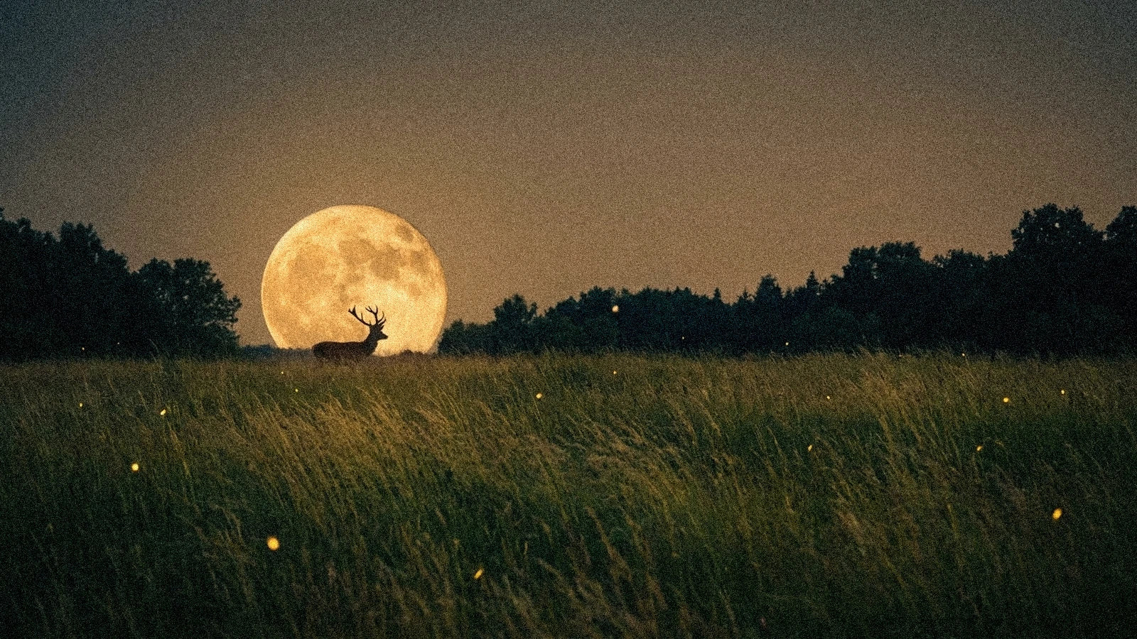 Pleine lune juillet 2027 en Capricorne : Lune du Cerf (18 juillet)