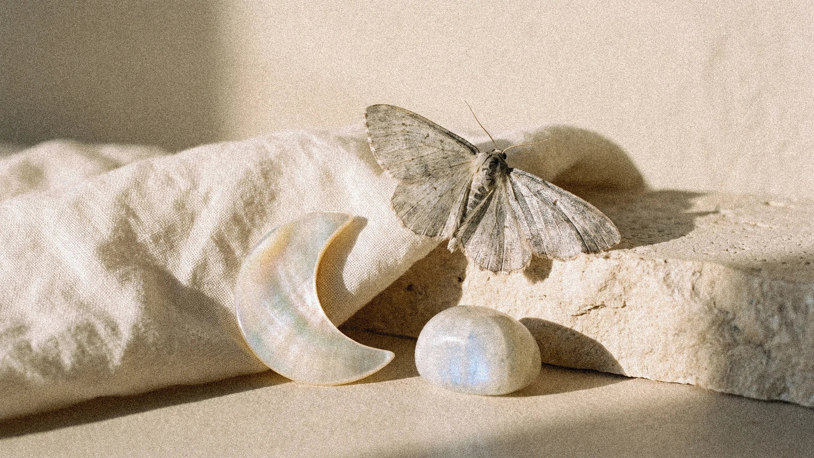 La Lune (Arcane XVIII) — Tarot de Marseille : signification, symboles et lecture