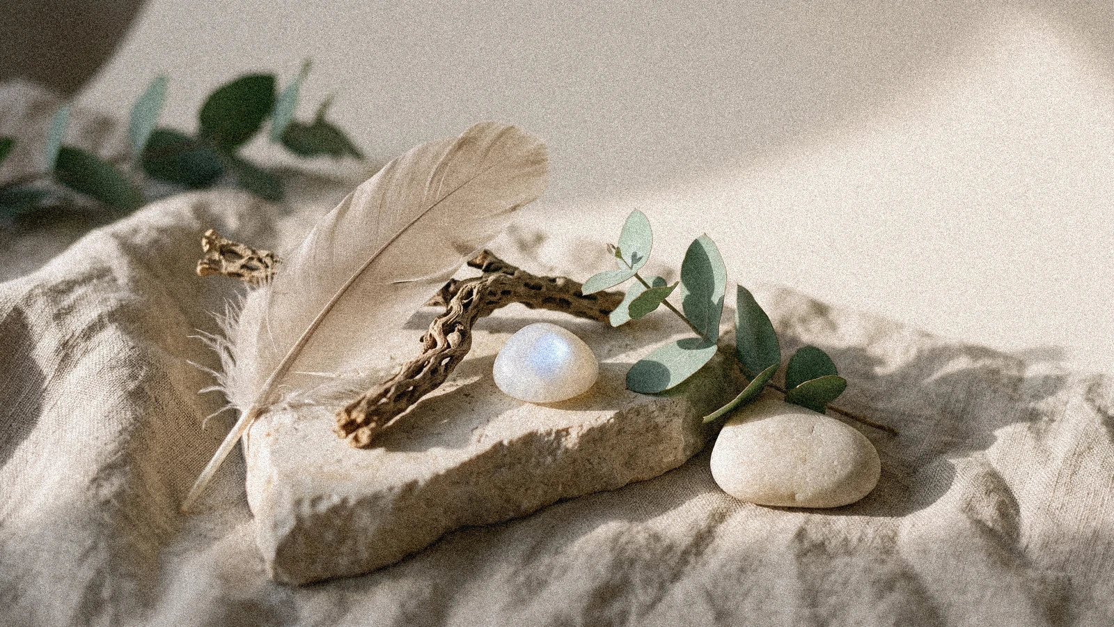 Les oracles modernes : Wild Unknown, Spirit Animal et nouvelles voix
