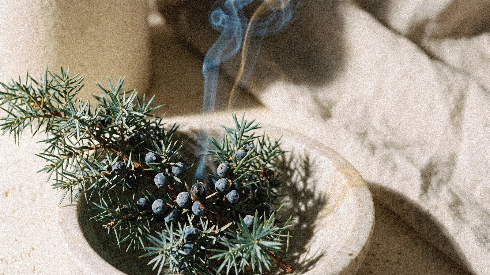 Le genévrier : l'encens alpin des druides