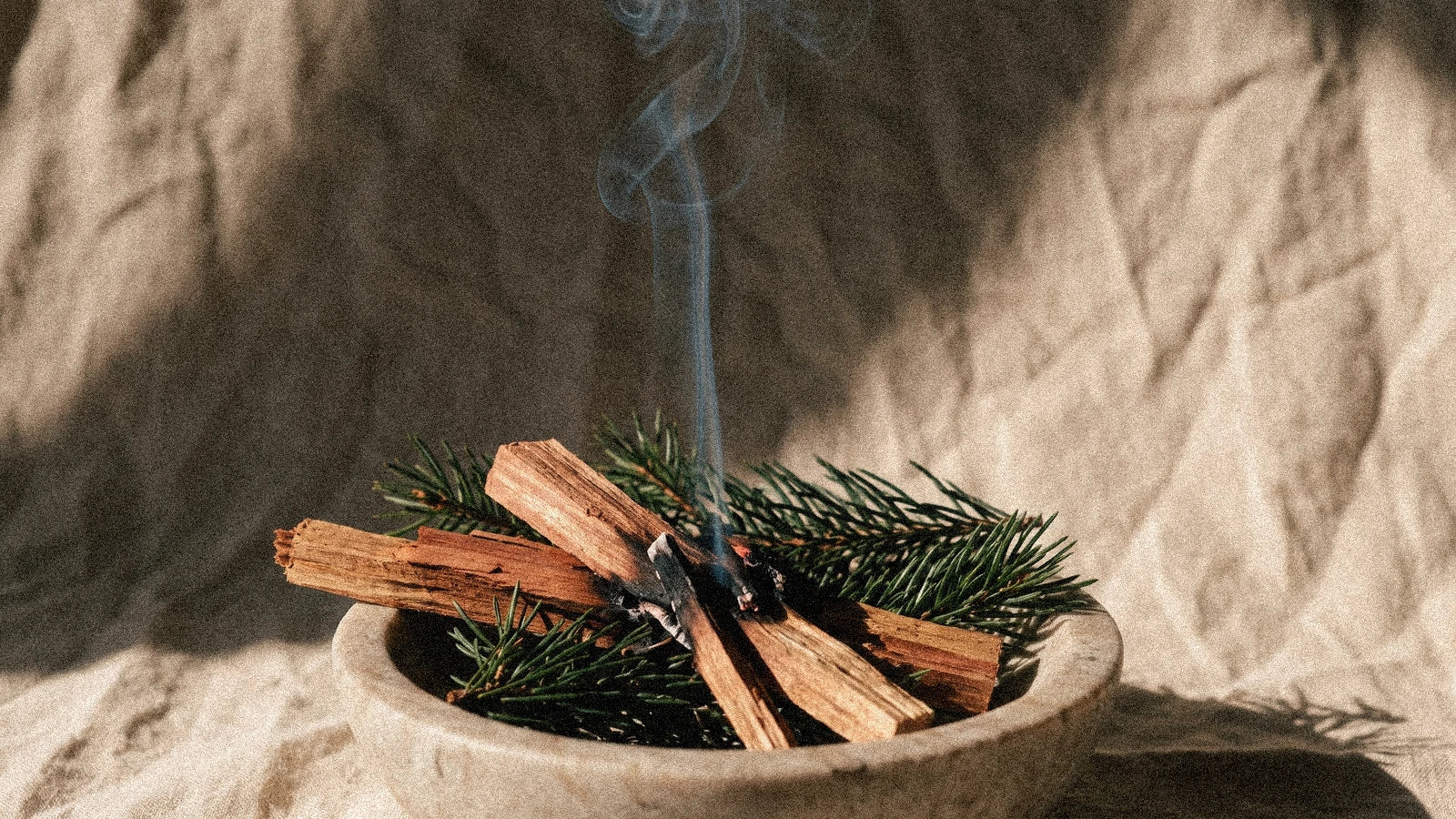 Le cèdre : l'encens de la force tranquille