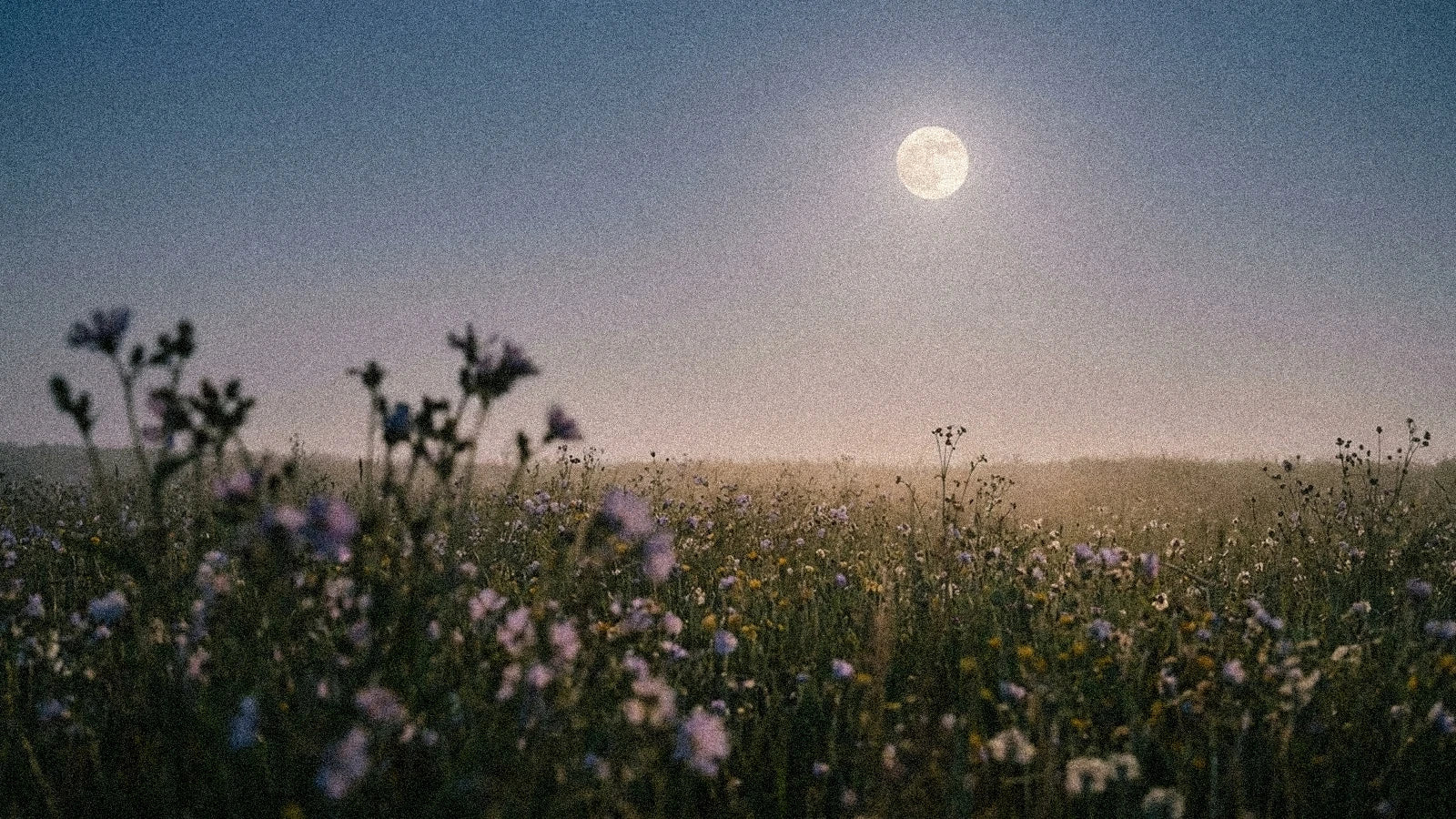 Pleine lune mai 2027 en Sagittaire : Lune des Fleurs (20 mai)