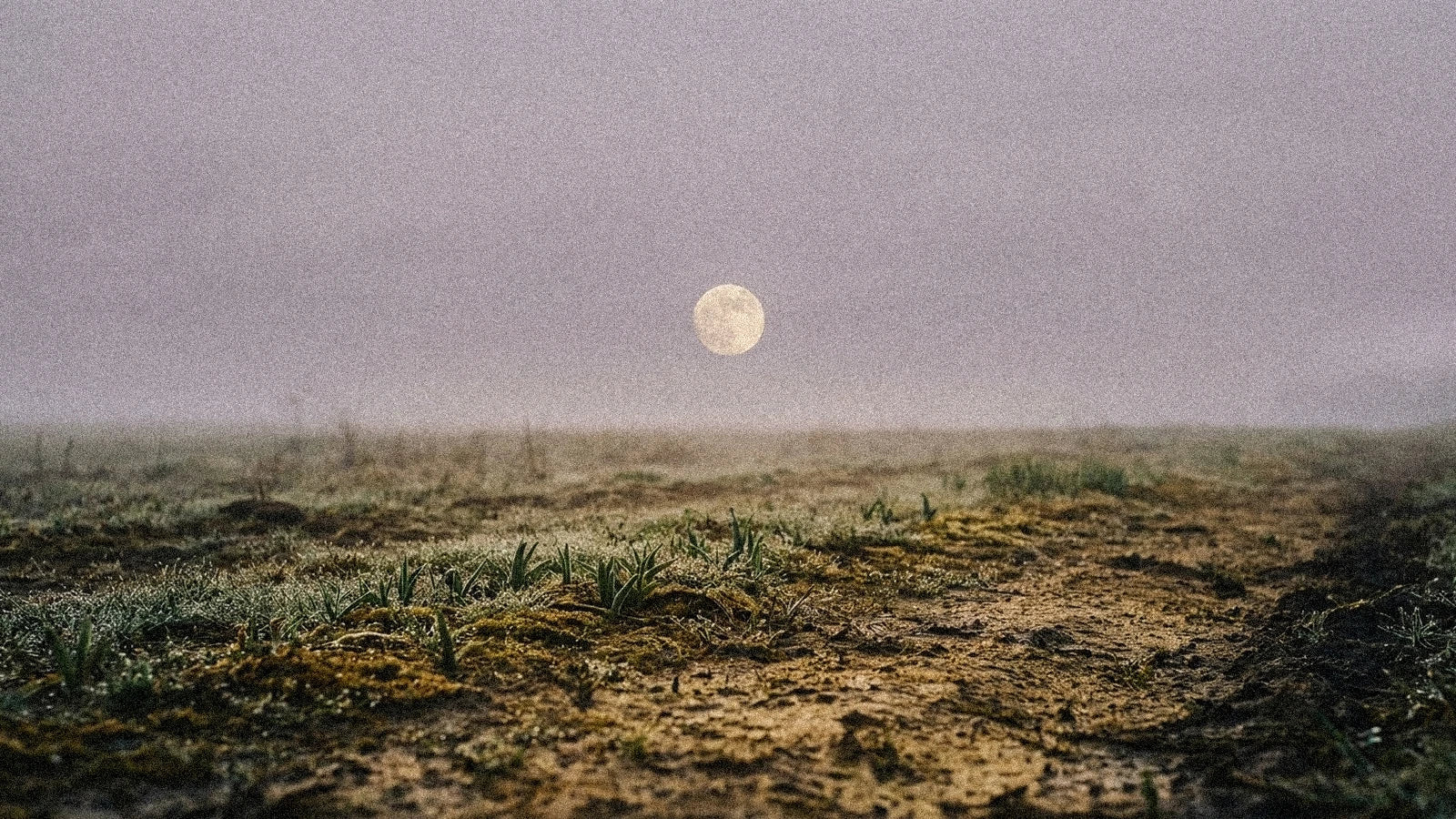 Pleine lune mars 2027 en Balance : Lune du Ver (22 mars)