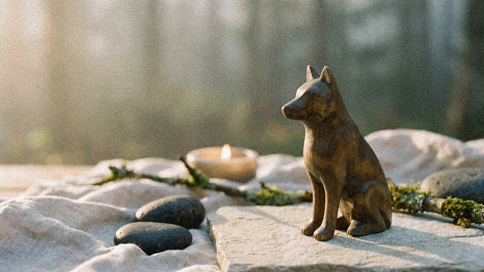 Animaux totems : trouver son animal allié