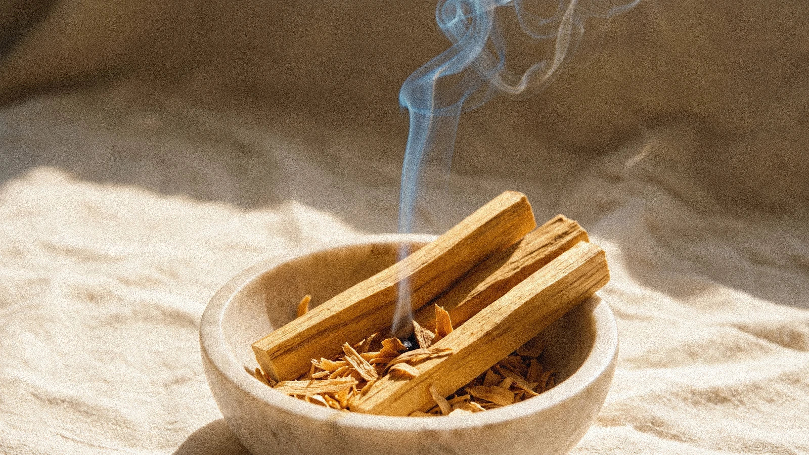 Le bois de santal : l'encens des temples hindous et bouddhistes