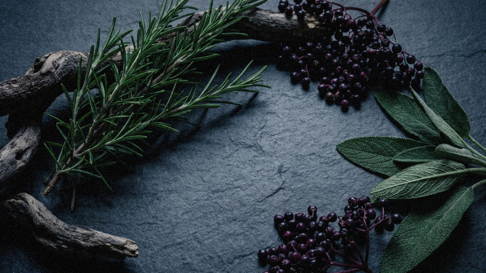 Herbes du Capricorne : 3 plantes alliées du signe de terre saturnien