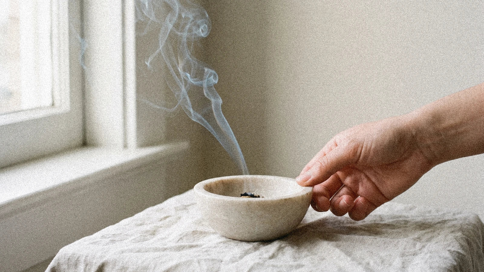 Sécurité de la fumigation : bébés, animaux, asthme