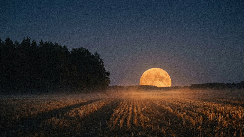 Pleine lune octobre 2027 en Bélier : Lune du Chasseur (15 octobre)