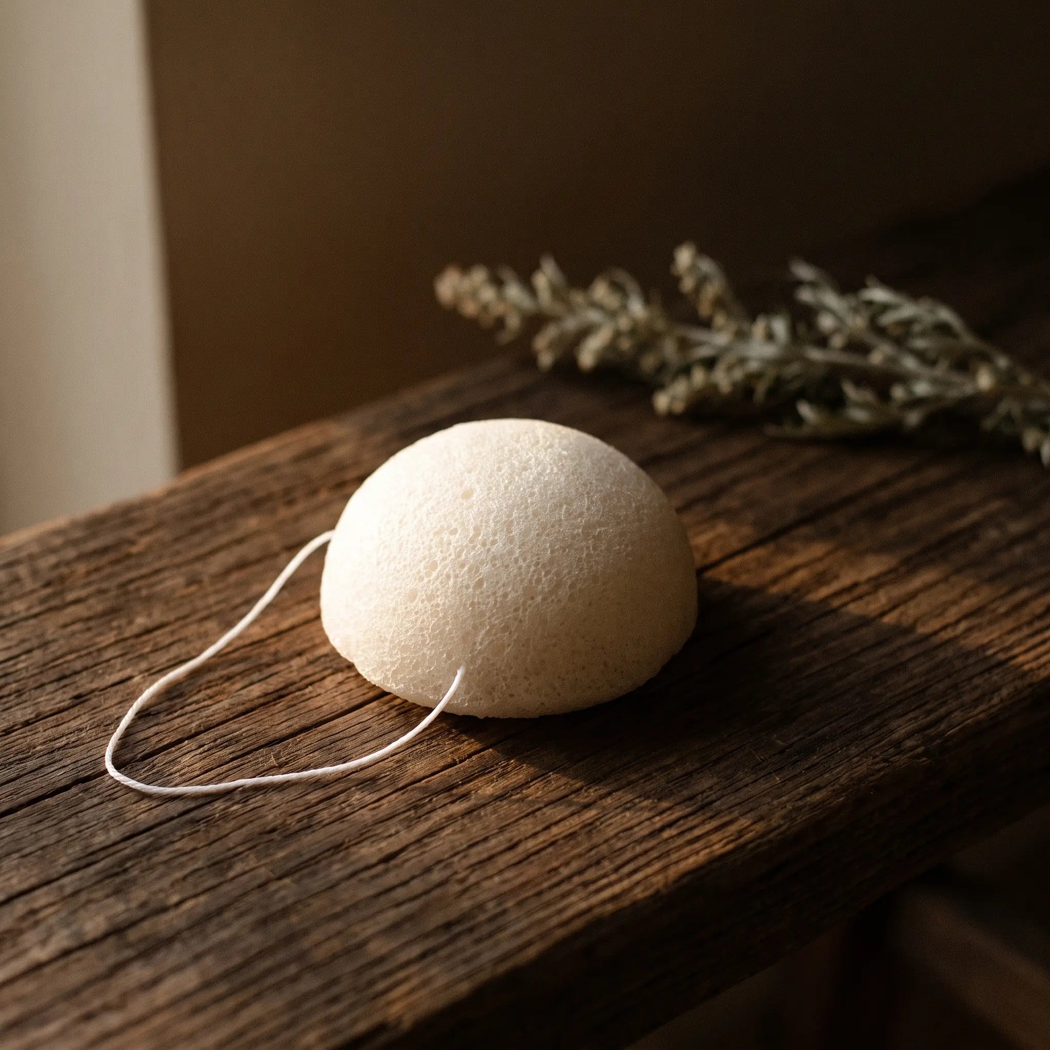 L'Éponge Konjac — Éponge konjac purifiante visage racine naturelle — présence variante · AURÆN Rituels d'Or